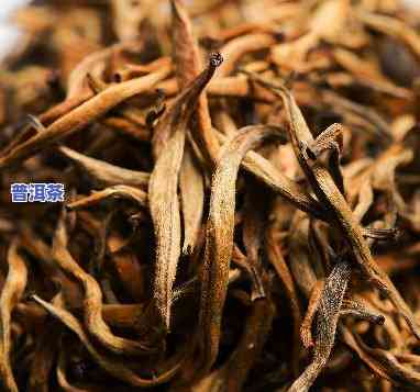 普洱茶金芽：现在购买值得吗？能否饮用？