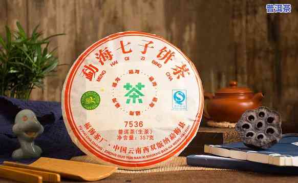 七子普洱茶，品味历史与自然的交融：七子普洱茶的魅力探索