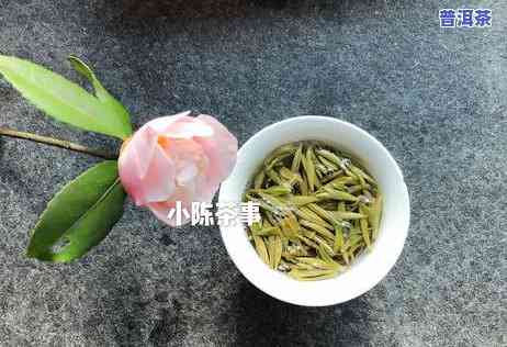 普洱茶黑茶：怎样冲泡出更美味的口感？