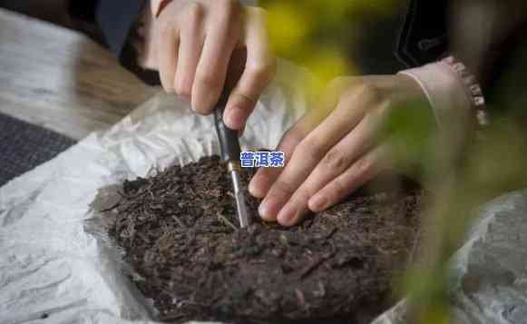 普洱茶用不用充氮肥的呢，探讨普洱茶制作中是不是需要采用充氮肥料？