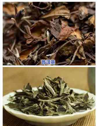 普洱茶陈茶特点介绍高清图片大全