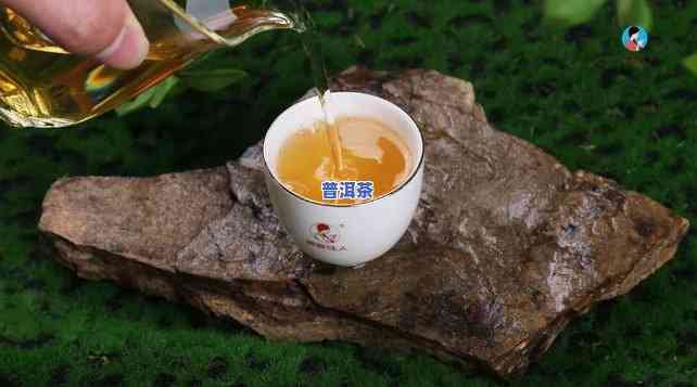 普洱茶里的茶香有什么，揭秘普洱茶的香气：你不知道的茶香世界