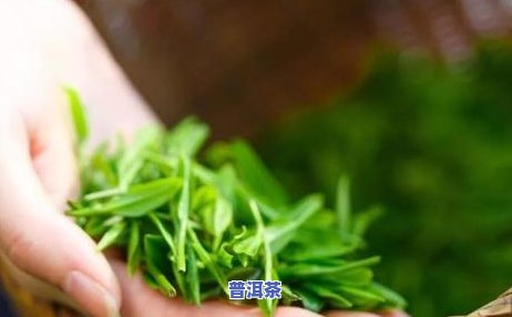 普洱茶里有什么香料好呢-普洱茶里有什么香料好呢图片