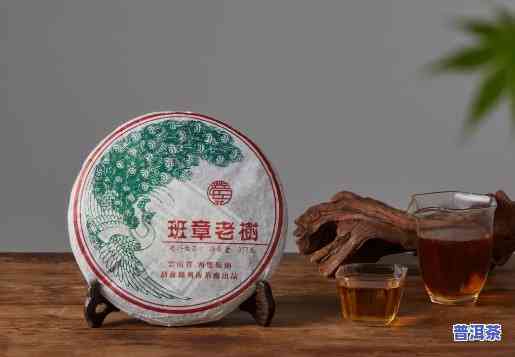 勐海茗一茶业老班章：优质茶叶的代名词