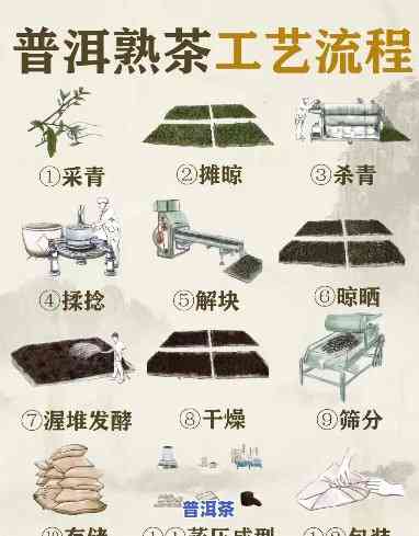 普洱茶发酵工艺流程：从鲜叶到熟茶的全过程解析与图片展示