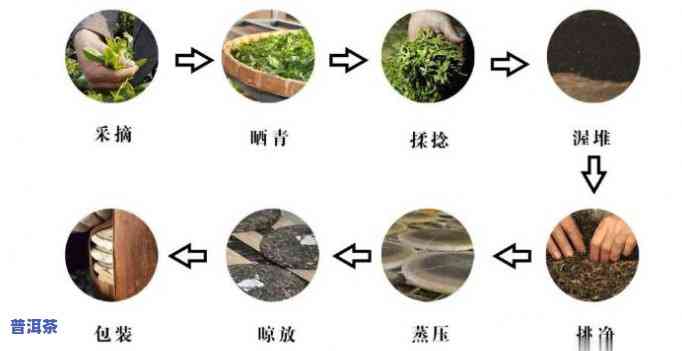 普洱茶发酵工艺流程：从鲜叶到熟茶的全过程解析与图片展示