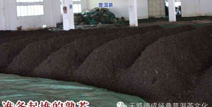 普洱茶发酵工艺流程：从鲜叶到熟茶的全过程解析与图片展示