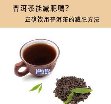 普洱茶瘦身图片欣赏大全大图高清集锦