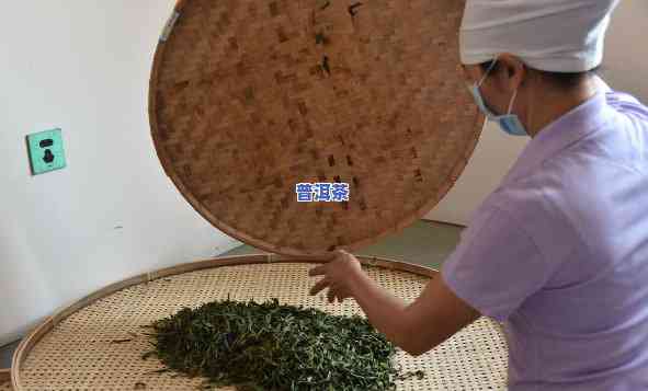 普洱茶饼制作视频教程：步骤详解