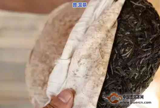 普洱茶饼制作视频教程：步骤详解