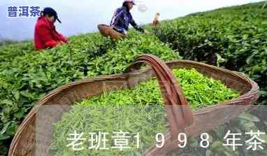 1998年老班章价格，回顾历史：1998年老班章普洱茶的价格及其作用