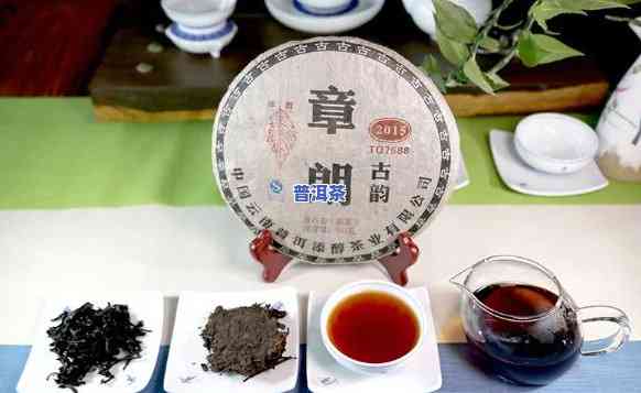 章朗古树普洱茶生茶，品味古老韵味：章朗古树普洱茶生茶的魅力探索