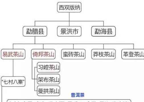 广东普洱茶：产地与特点全面解析