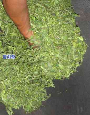 普洱茶用不用炒一下喝了-普洱茶用不用炒一下喝了呢