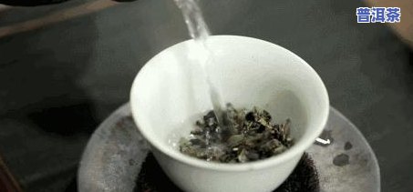 普洱茶的冲泡窍门是啥啊-普洱茶的冲泡窍门是啥啊