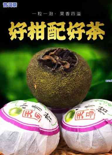 青桔普洱茶保质期：多久？