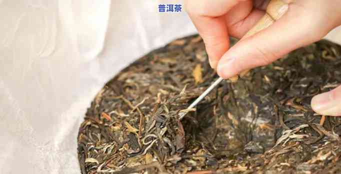 怎样自制茶泡普洱茶好喝又简单，简易步骤：怎样自制美味茶泡普洱茶？