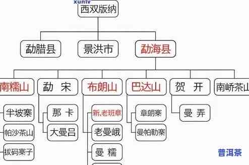 普洱茶：谁制作的？种类有哪些？全图解