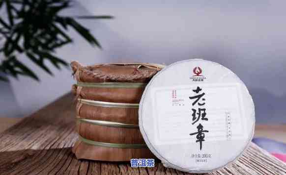 老班章茶是普洱吗，揭秘普洱家族：老班章茶，你熟悉多少？