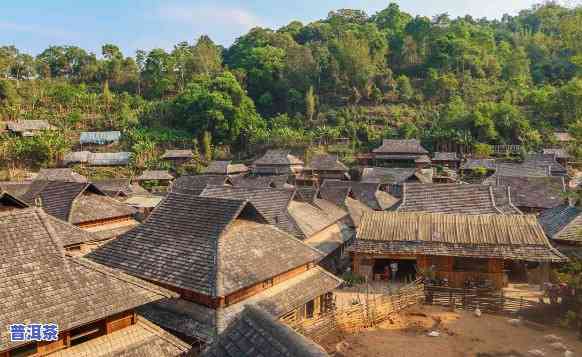 老班章村是什么民族，探秘老班章村：揭秘这个神秘的民族村落