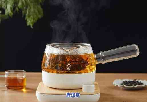 怎样用煮茶器煮出美味的普洱茶？详细视频教程