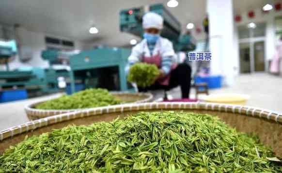 普洱茶厂怎样经营以提升茶叶销量？