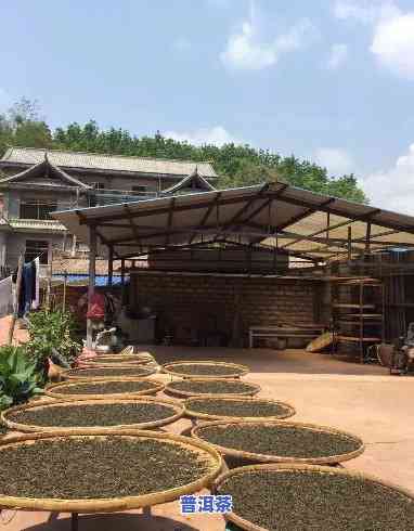 普洱茶厂怎么经营的茶好-普洱茶厂怎么经营的茶好喝