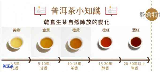 普洱茶的转化周期为几年，揭秘普洱茶的转化周期：从新茶到老茶，需要多少年？