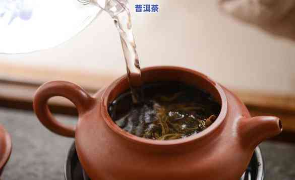 普洱茶哪款适合煮茶壶喝的，普洱茶选择：哪款最适合用煮茶壶冲泡？