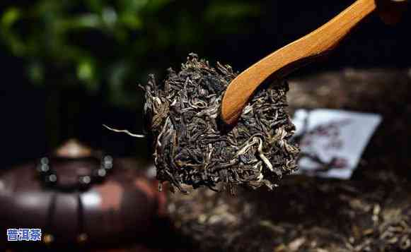 湖南老树普洱茶保存多久更好，湖南老树普洱茶的保存期限：多久最合适？