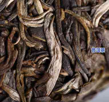 湖南老树普洱茶保存多久-云南老树普洱茶