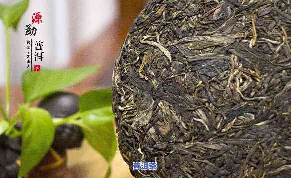 金鲁源家的普洱茶好喝吗？消费者评价及口感分析