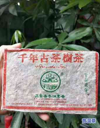 2006年老班章茶砖：价格对比与历史回顾