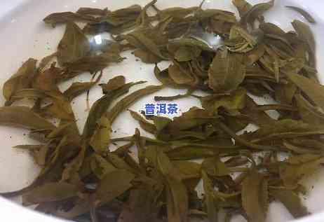 熟普洱茶里含什么糖类多呢，探究熟普洱茶中的糖类成分