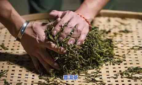 普洱茶要趁热喝吗，「普洱茶要趁热喝吗」：热度对普洱茶口感的作用