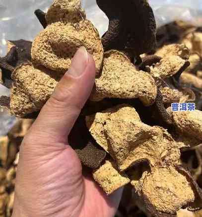 大益茶批次和生产日期不同，揭秘大益茶：批次与生产日期为何不同？