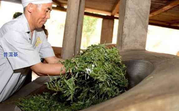 老班章茶叶炮制图片-老班章泡茶图片