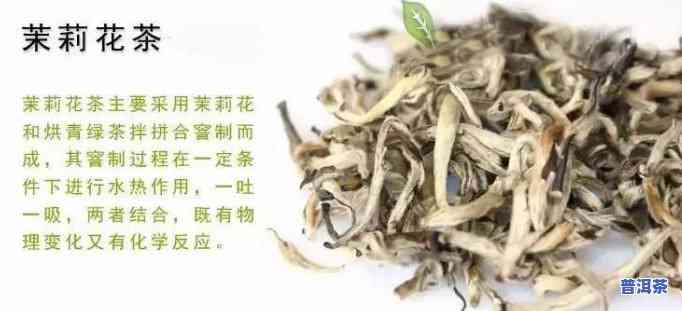 深入熟悉：茉莉茶与普洱茶的区别