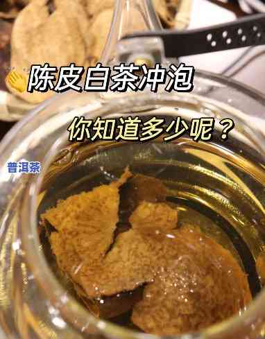 陈皮普洱茶冲泡视频教程详细讲解