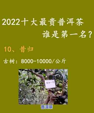 更大普洱茶排名榜：前十名揭晓，谁是之一？