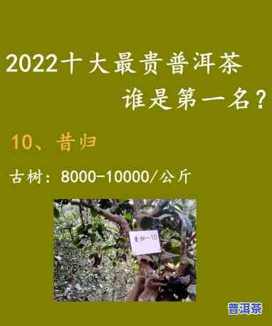 常州古树普洱茶售价多少？一斤、一盒分别多少钱？