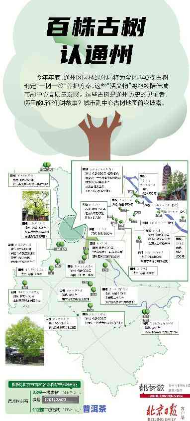 常州古树分布全览：高清地图及详细信息