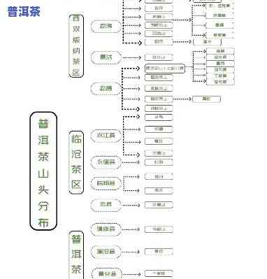 老班章四大金刚图片-老班章分布图