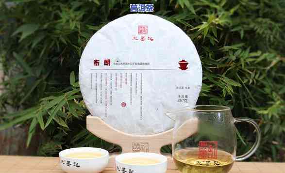 高端普洱茶有哪些好，探秘高端普洱茶：哪些值得推荐？