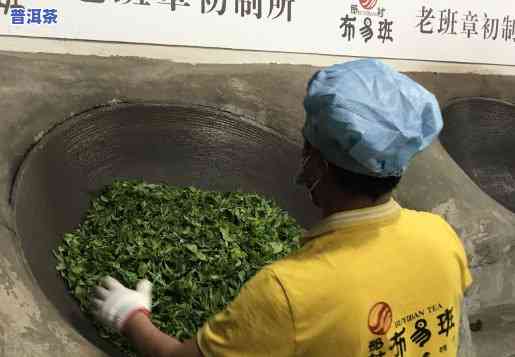 广东老班章体验炒茶-老班章茶厂直销