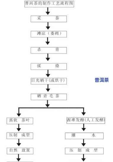 普洱茶新工艺发酵法原理图详解与图片展示