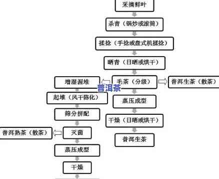 普洱茶的发酵原理是什么，揭示普洱茶特别口感的秘密：深度解析其发酵原理