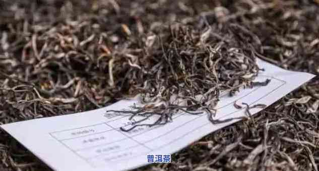 普洱评审茶叶的时间-普洱评审茶叶的时间是多久