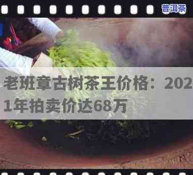 2020-2021年老班章茶王价格及树价达68万