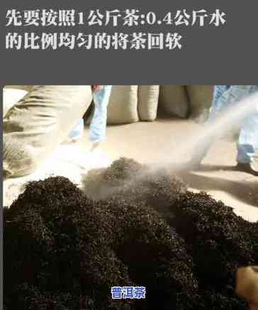 自制普洱茶难喝怎么补救-自制普洱茶饮料